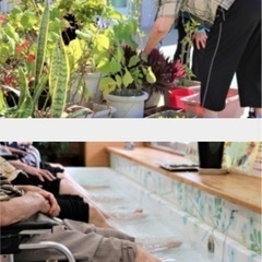 柔道整復師　242,000円〜　理学療法士、作業療法士も可の画像