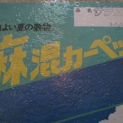 新品カーペットの画像