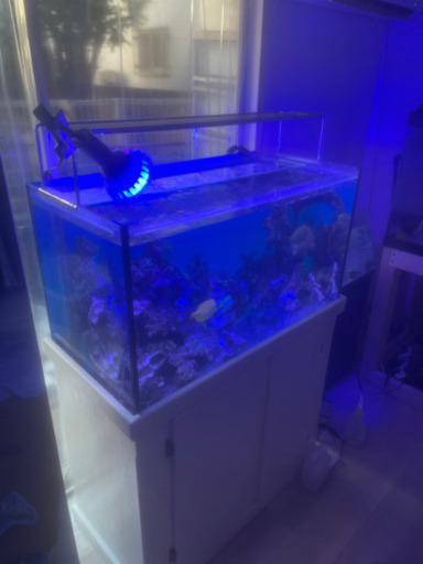 900×450×500(H)オーバーフロー水槽セット