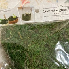 装飾グリーンモス　新品未開封の画像