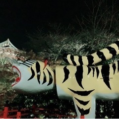 野球、ソフトボールが好きな方〜
