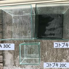 定価70万円 未使用】 FENDI レザーライダース コレクションモデル 50