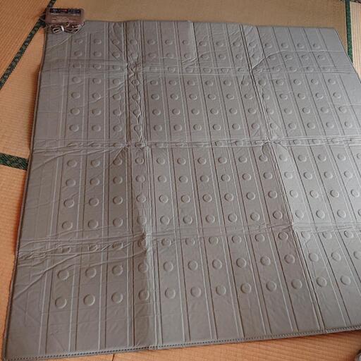 お譲り先決まりました！ 断捨離中！ 電気カーペット