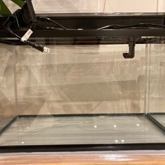(お引渡先決定)GEX 60cm 水槽 上部フィルター セット
