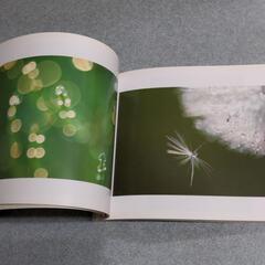 グリーンドリーム For people who love nature 越後谷 修の画像