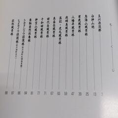 森は誘うの画像