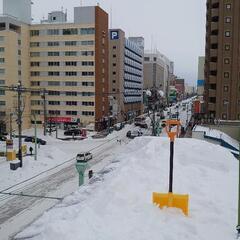 旭川市内　除排雪・屋根の雪下ろし - 便利屋