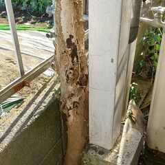 写真の庭の木を抜いて下さい