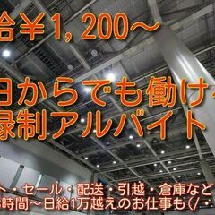 <<1/5応募〆切>>成人式会場スタッフ大募集★☆彡