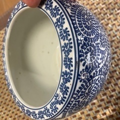 鉢、メダカ 、水草セットの画像