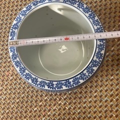 鉢、メダカ 、水草セットの画像