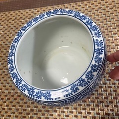 鉢、メダカ 、水草セットの画像