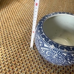 鉢、メダカ 、水草セットの画像
