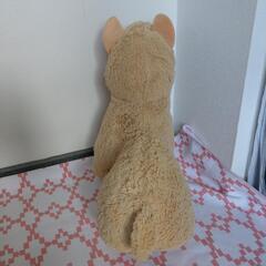 ぬいぐるみ アルパカの画像
