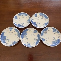 和皿　皿　丸皿　5枚セット　差し上げます