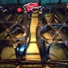 バイアスロンの画像