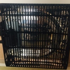 こたつ正方形 こたつ単体3000円