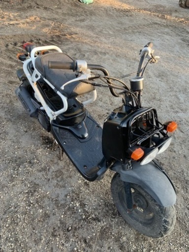 ホンダ　ズーマー　HONDA
