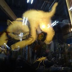 ※商談中※沈金彫額面　「猫」　作：板谷光治【愛品倶楽部柏店】の画像