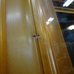 ※商談中※沈金彫額面　「猫」　作：板谷光治【愛品倶楽部柏店】の画像