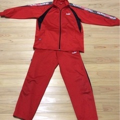 PUMA ジュニア用ジャージ上下セット  サイズ：140