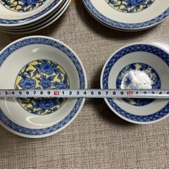 新品　TACHIKICHI   お皿　11枚セットの画像