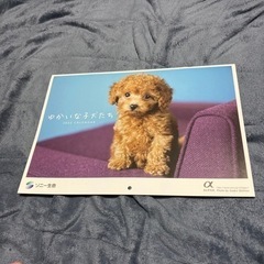 ゆかいな子犬たち カレンダー 2022年