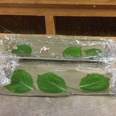 子ども陶芸スペース^ - ^ 少人数！最大3人までの画像