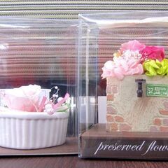 プリザーブドフラワー ２個セット 花 器入りディスプレイ ピンク...