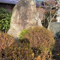 庭石　石塔お譲りします！8・9・10日限定