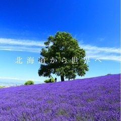 英語が得意な方必見！特技を活かせるお仕事♪