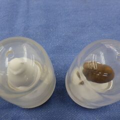 クオリー/QUALY  調味料入れ シーズニングシェイカー アニマル 4個セット 西岡店の画像