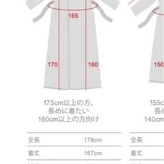 fondan 着る毛布　Lサイズの画像