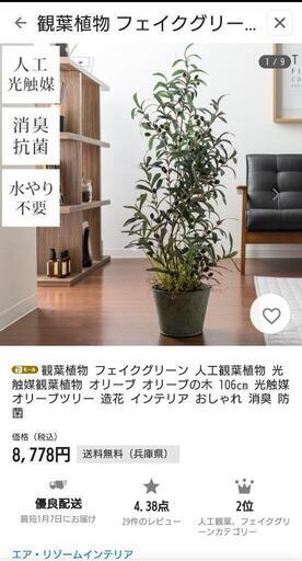 観葉植物（フェイクグリーン）