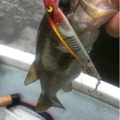 一緒にバス釣りを楽しめる人募集してます。
