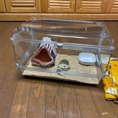 [ほぼ新品]小動物ケージ及び付属品の画像