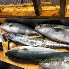 明日12月17日【土曜日】 釣り 【伊勢湾ジギング】  神島伊良...