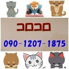 座椅子 差し上げますの画像