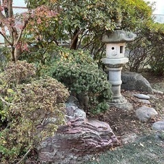庭石差し上げます。