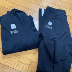 danskin フィットネスウェア 上下の画像