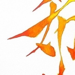 日本文化の書道を彩り豊かに描いていく彩り文字®︎🌸次回3/13（日）16:00〜18:00の画像