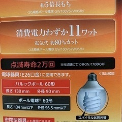 Panasonicパルックボール60型の画像