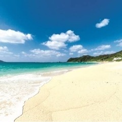 【2/25〜2/28】一緒に奄美大島行ける方募集^ ^