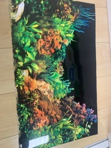 GEX 60センチ水槽　初心者全てセット