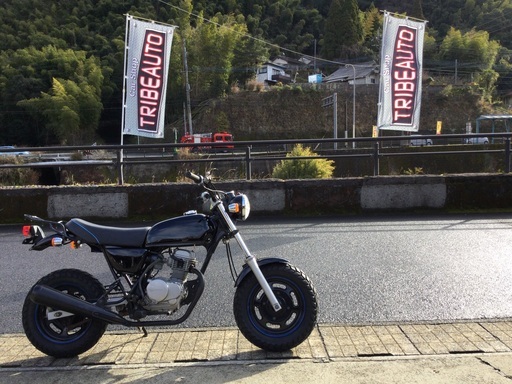 HONDA ape50 リアキャリア シート オールペン