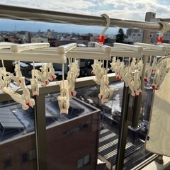 【お譲りします】物干し竿1本、洗濯ピンチ2つの画像