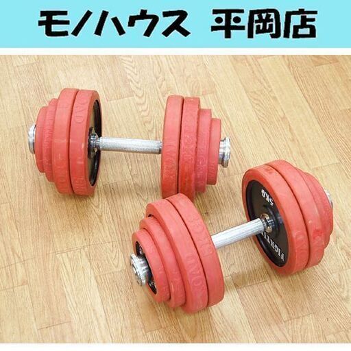 ファイティングロード ダンベル 2個セット 合計60kg ラバー 30kg×2個