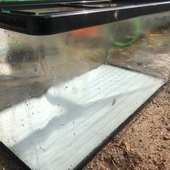 水槽