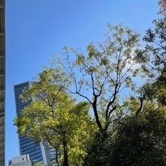 就労支援について話しませんかー