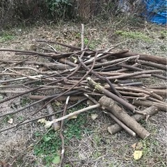 薪にいかがですか？？無料